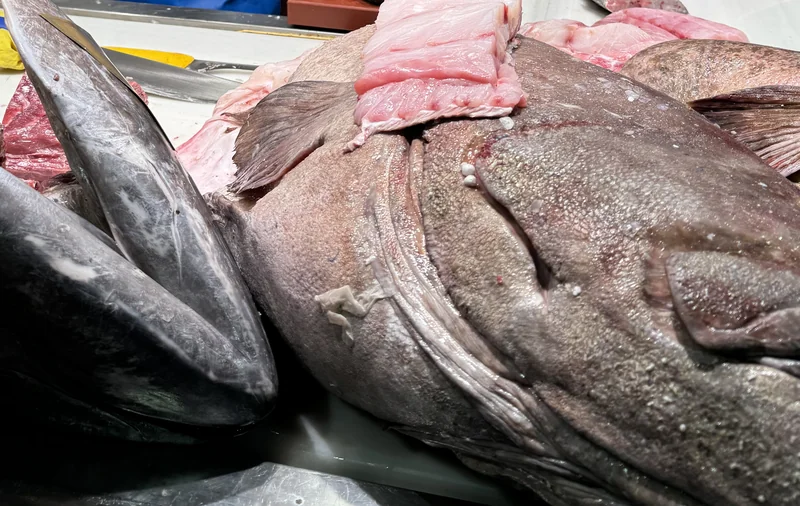 Piezas enteras de pescado alineadas sobre hielo